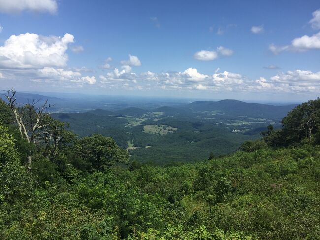 山脈の山頂を細長く国立公園になっているシェナンドー国立公園を背骨のように南北に貫く約170ｋｍ続くスカイラインドライブ。四季折々の景色を楽しめるドライブコースのようですが、今回は夏で、蒸し暑さから逃れて避暑に最高な時期でした。景色もブルーマウンテンを眺めることができます。