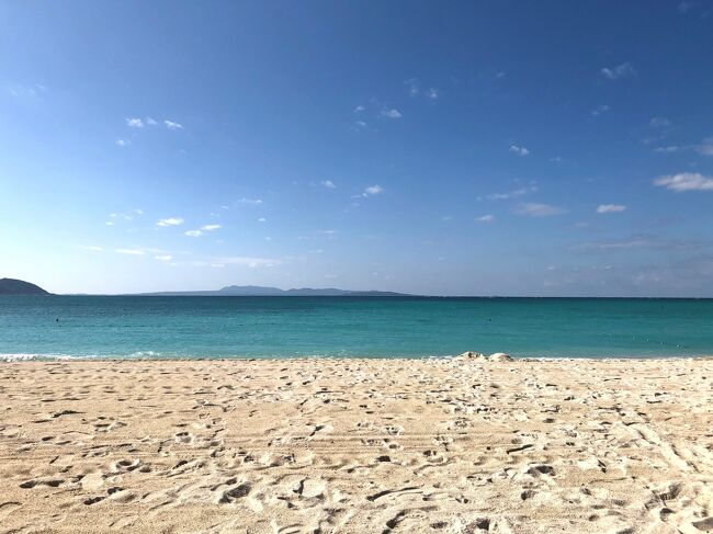 3泊4日で冬の沖縄旅。<br /><br />本島北部にひっそりと佇むオクマ プライベートビーチ&リゾートにてホテルステイ。<br />お部屋は広く快適で、外に出ればプライベートビーチやガーデンがあり、コロナ渦・小さな子供連れでも気兼ねなく過ごせました。<br /><br />【天候】<br />22℃前後、秋頃の気温<br />曇り、晴れ、ときどき雨 <br />※予報上は雨<br /><br />【予約方法】<br />フライト:UAマイル予約<br />宿泊 :一休にてGoToトラベルキャンペーン利用<br /><br />オクマ プライベートビーチ&リゾート<br />ガーデンヴィラ ラウンジアクセス付きプラン 朝食付き<br /><br />※ラウンジアクセス付き特典<br />①潮風のラウンジ利用<br />②専用カウンターでのチェックイン(ウェルカムドリンクサービス)<br />③バレーサービス<br /><br /><br />【スケジュール】<br />■1日目:<br />正午過ぎに那覇空港着 → レンタカー移動 → 名護市内で乳児用品の買い出し → パイナップルパーク → 移動 → ホテルチェックイン → 国頭村食堂(夕食)<br /><br />■2日目:<br />移動 → 美ら海水族館・レストラン イノー(昼食) → 移動 → ホテルステイ → とっくり屋(夕食)<br /><br />■3日目:<br />ホテルステイ → Hill Valley jr.(昼食) → 古宇利島ドライブ → ホテルステイ → いじゅ(夕食/ホテル内)<br /><br />■4日目:<br />チェックアウト → 空港へ移動<br /><br /><br />