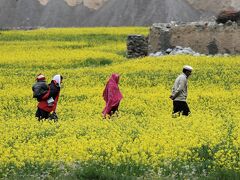 ヤク漬けのパキスタン　その９　トレッキング終了