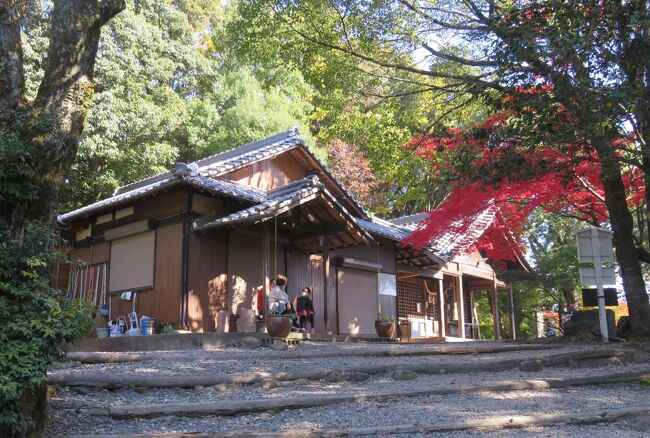 発掘調査によれば、墳丘は2段築成で、墳丘上部は神社の本殿造営に伴い、削平されています。斜面の葺石は大振りの角礫が積み上げられ、葺石上には、白鳥塚古墳と同じく多量の石英が撒かれていたと推定され、テラスの敷石の一部にも石英が使われています。