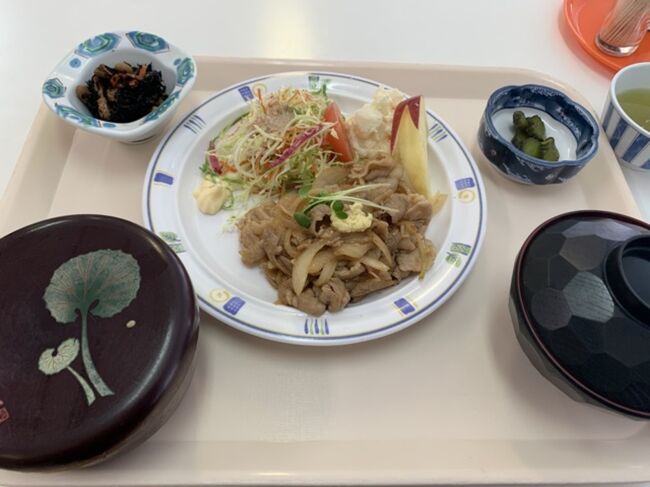 秋田市の山王界隈は、ビジネス街となっていて、県庁、市役所、裁判所など国の機関も多い。また、民間の事務所ビルも多いため、ランチを提供するお店もたくさんある。<br /><br />10月は、飲んで食べて応援キャンペーンやワンコインランチ巡りをしていたが、<br />11月は、何にもない。12月も何もない。<br />国、県、市のプレミアム飲食券を買ったことだし、外食記録でもつけてみる。<br />これは、12月第四週と五週の記録である。