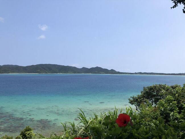 2020年夏休み奄美大島子連れ旅行～3、4日目