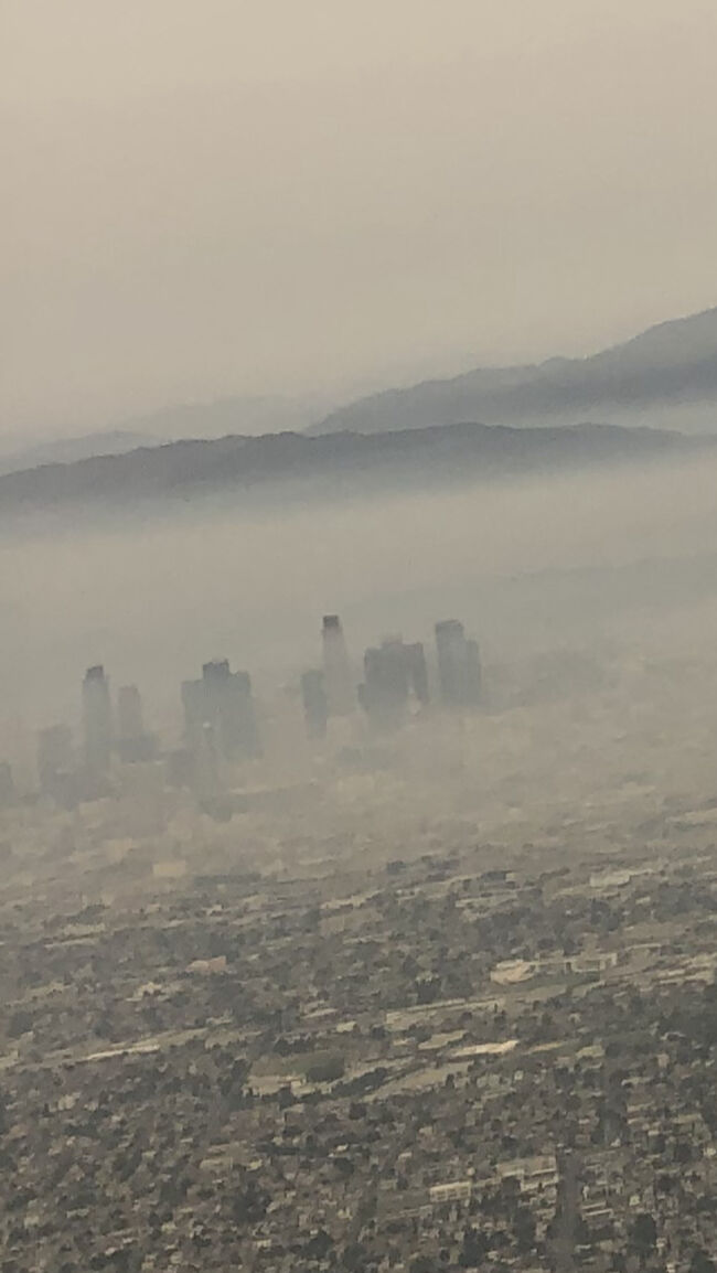 私用で1か月弱カリフォルニア州に行って来ました。飛行機から見たダウンタウンロサンゼルスは凄かったです。COVID-19の為スーパーに入るのにも人数制限で並ばなくてはいけなく、閉まっているショップが沢山ありました。もちろんレストランは持ち帰りが殆ど。早く元に戻って欲しいです。でもロサンゼルスでも道路は驚くほど空いていて運転しやすかったです。<br />ニューポートビーチ、カタリナ島のペリカン、アシカ、アザラシ、イルカ、etc...達には変わり無く癒されて来ました。