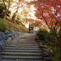 Gotoトラブル京都☆電子クーポンなのに、スマホ様が瀕死・嵯峨野トロッコ・天龍寺・常寂光寺・東福寺