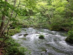 2020年　東北の旅5日目前編（天然温泉　岩木桜の湯　ドーミーイン弘前）【GOTOトラベルNO5】