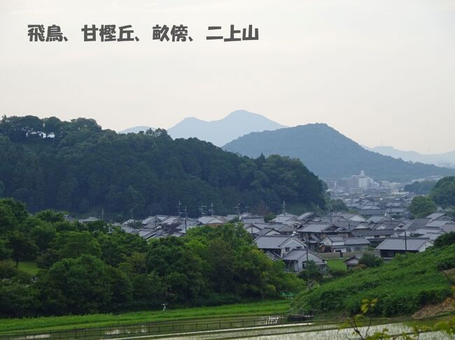 更新記録<br />2020/12/11 「飛鳥の女は強かった」の最後にエピソード追加。2021/03/23 引用資料追加。<br /><br />トシをとると古いものにこだわります。旅もまたしかり。飛鳥、奈良の旅を思い立ちました。<br />縦の旅をします。歴史を遡って、その舞台を訪ねる旅です。<br />私たちが最初に訪ねたのは、日本書紀が語る大来皇女(おおくの・ひめみこ)と大津皇子(おおつの・みこ)、飛鳥の姉弟の物語です。<br /><br />飛鳥、奈良の旅でいろいろガイドブックを探しましたが、元になっているのは、どうやら六国史といわれる一連の歴史書のようです。それならいっそのこと、六国史そのものをガイドブックにしよう。<br /><br />六国史(りっこくし)とは古代日本の律令国家が編纂した歴史書の総称です。<br />記述する時代は、<br />「日本書紀」(成立720年)が神代から持統天皇(697年)まで。<br />「続日本紀」(797年)文武天皇(697年)~桓武天皇(791年)<br />「日本後紀」(840年)桓武天皇(792年)~淳和天皇(833年)<br />「続日本後紀」(869年)仁明天皇の代(833年~850年)<br />「日本文徳天皇実録」(879年)文徳天皇の代(850年~858年)<br />「日本三代実録」(901年)清和天皇(858年)~光孝天皇(887年)<br /><br />今回は飛鳥、奈良がメインですから、日本書紀、続日本紀、日本後紀のお世話になりました。<br />原文は漢文ですが、参考、引用するのは、原則として碩学による現代語訳です。<br /><br />今回の旅行記では次の資料を使用しました。<br />引用に際し僭越ながら敬称を略させていただきます。<br />「全現代語訳・日本書紀」宇治谷孟・講談社学術文庫<br />「全現代語訳・続日本紀」宇治谷孟・講談社学術文庫<br />「全現代語訳・日本後紀」森田悌・講談社学術文庫<br />「新版言語訳付き・古事記」中村啓信・角川ソフィア文庫<br />「万葉集・全訳注原文付」中西進・講談社学術文庫、引用では「万葉集中西」<br />「折口信夫全集第4巻・口約万葉集」中央公論社、引用では「万葉集折口」<br />文中、引用、参照が「日本書紀」「続日本紀」「日本後紀」「古事記」とあるのはこの資料をさします。<br />「日本書紀」日本古典文学大系・坂本太郎他・岩波書店<br />読み下し文、漢文原文が必要な場合は本書を引用しました<br />「懐風藻」全訳注・江口孝夫・講談社学術文庫<br />「日本城郭大系10 三重・奈良・和歌山」新人物往来社<br />「訓読明月記(藤原定家)第6巻」今川文雄訓読・河出書房新社<br />「斎宮」榎村寛之・中公新書<br />「伊勢神宮と斎宮」西宮秀紀・岩波新書<br />「斎宮歴史博物館総合案内」斎宮歴史博物館編<br />「斎宮と古代国家」国史斎宮跡発掘50周年記念特別展カタログ・斎宮歴史博物館編<br />「斎宮大伯皇女の歌についての一史論」・Hosei University Repository・法政大学人文科学研究所 日本文学専攻 博士後期課程2年 原槇子 肩書きは論文発表当時。 発表年不明)<br />「斎宮史」山中智恵子・大和書房<br />「壬辰の乱」椎屋紀芳・毎日新聞社<br />「現代語訳 藤氏家伝」・沖森卓也/佐藤信/矢嶋泉訳・ちくま学芸文庫<br />「史跡 夏見廃寺跡」・名張市教育委員会作成の2種類のパンフレット<br />「道路の日本史」服部健一・中公新書電子版<br />「古代道路の謎」近江俊秀・祥伝社新書<br />「古代甲斐国の交通と社会」大隅淸陽・六一書房<br />「日本古代の道と駅」木下良・吉川弘文館<br />「日本古代道路辞典」古代交通研究会編・八木書店