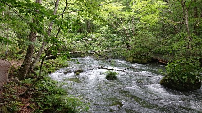 本日は今回の最大の目的地である奥入瀬に移動します。本日は移動だけして、明日奥入瀬渓流を歩く予定です。道中は天気が良かったので、車で走っていて気持ちが良かったです。