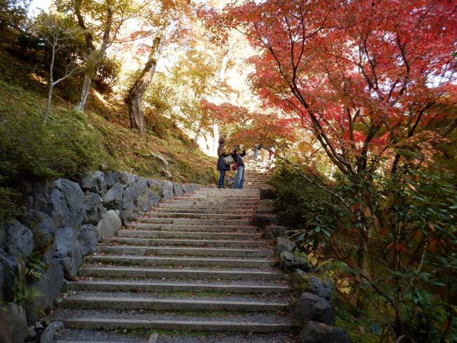 Gotoトラブル京都☆電子クーポンなのに、スマホ様が瀕死・嵯峨野トロッコ・天龍寺・常寂光寺・東福寺