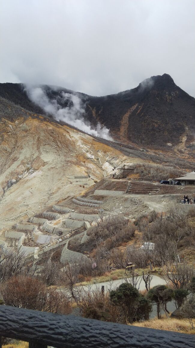 前々から計画していた箱根旅行に行ってきました。<br />ホテルは、昨年同様に山のホテル。<br />今回は箱根フリーパスを使って、乗り物三昧してきました。<br />その記録です。<br />