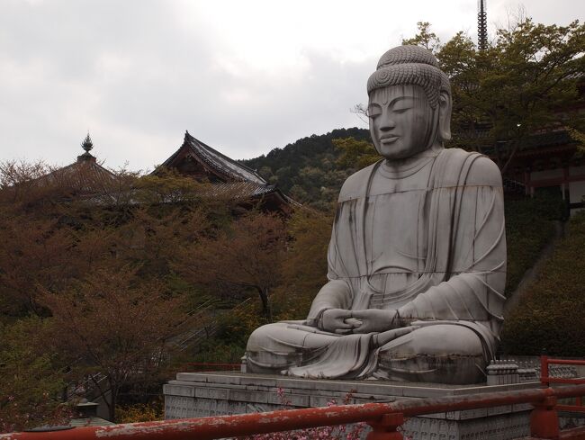 旅の三日目は奈良の南部へ。<br />西国札所の壷阪寺、丹生川上神社の三社巡り、天河神社を廻ります。<br />まずは壷阪寺へ。