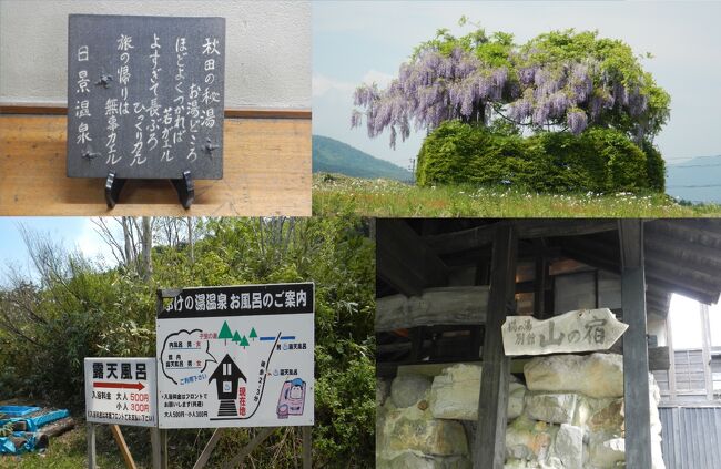 冒頭の写真は、左上が日景温泉、左下がふけの湯、右下が鶴の湯別館山の宿、右上は日景温泉からふけの湯へ行く途中で見た藤の花<br /><br />秋田県 日本秘湯を守る会の温泉宿巡り<br /><br />平成２４年（２０１２年）<br />6/3(日) 羽田空港⇒大館能代空港 (あきた北空港)　大太鼓の館、秋田比内や大館本店、秋田犬会館、石田ローズガーデン、日景温泉泊<br />6/4(月) 花輪ばやし会館、ホルモン幸楽、旧関善酒店、松尾町産地直売センター「松っちゃん市場」、大深井沢展望台、ふけの湯泊<br />6/5(火) 鶴の湯別館山の宿泊<br />6/6(水) 秋田空港⇒羽田空港<br /><br /><br />日景温泉　2014年8月で営業を終了　割烹きらくが2017年10月1日再開<br />秋田県大館市にある温泉で、青森県との県境である矢立峠近くの天然秋田杉の林の中にある一軒宿（日本秘湯を守る会）<br />「東北の草津」とも称される、白濁の上質な硫黄泉<br />不動の人気「硫黄泉」：含硫黄-ナトリウム-塩化物泉（硫化水素型）<br />新たな力を秘めた源泉「炭酸水素塩泉」<br />貴婦人の湯「透明な塩化物泉」<br /><br />ふけの湯（日本秘湯を守る会）<br />秋田県鹿角市八幡平にある温泉で、八幡平の山腹、アスピーテラインから奥に入った標高1100mの高所の一軒宿「ふけの湯温泉」<br />本館から沢を挟んで現在露天風呂と地熱を利用したオンドル小屋がある<br /><br />鶴の湯別館 山の宿泊　客室数１０部屋<br />鶴の湯温泉の別館、木造平屋の宿。<br />夜は個々に囲炉裏で地の名物・山の芋鍋に山菜料理を味わえる。<br />20時15分まで鶴の湯のお風呂に無料送迎<br />宿泊者のみが利用できる貸切風呂