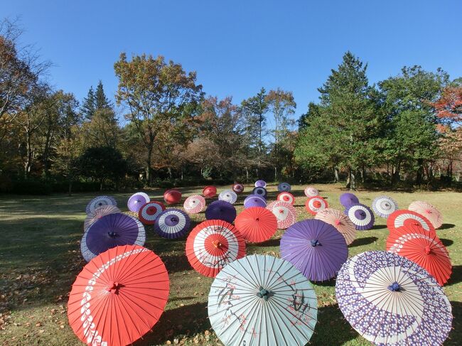 10月末にも訪れたばかりですが、今度は紅葉目的で再び昭和記念公園へ行ってきましたー。<br />