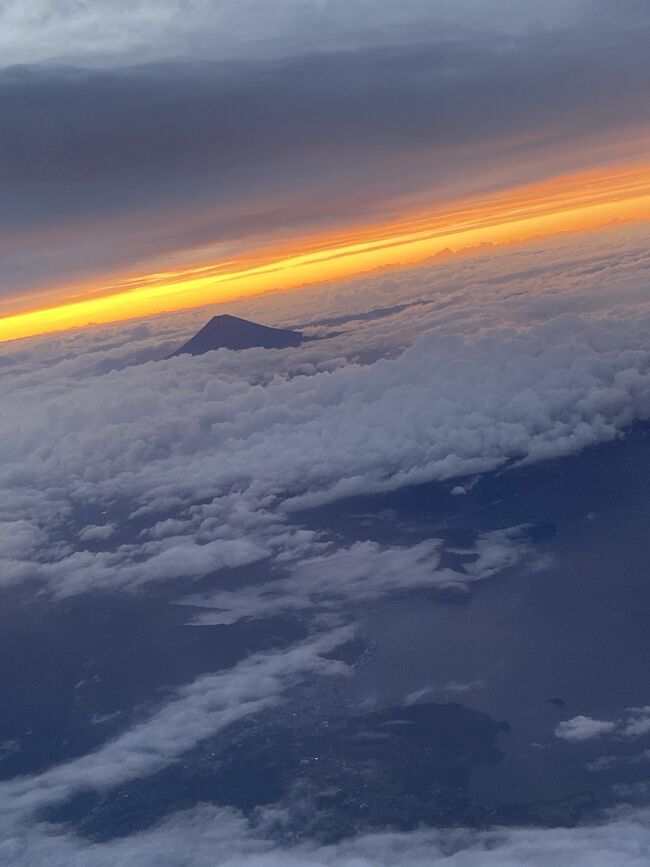 8月、12月11日に広島に行きました。<br />12月は広島市でコロナの患者が急激に増えてきて、酒類を取り扱う店の営業自粛要請が出て、Go to travel の広島発着が利用一時停止になる直前でした。<br /><br />食事も外食は避け、コンビニで購入し、ホテルで食べました。密を避けて行動しました。