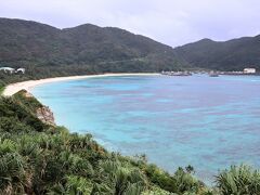 渡嘉敷島のケラマブルーを初見学