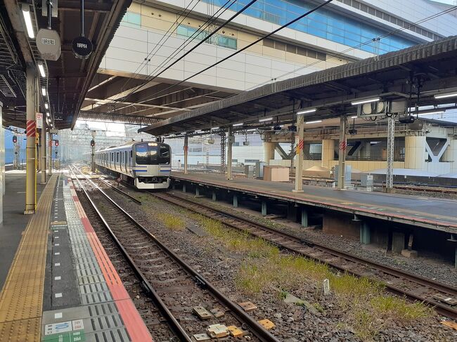 まるきゅーでございます。<br />今日横須賀線の新型E235系がデビューしました。<br />本日の運行は大船~君津~東京~佐倉とのことです。<br />(ちなみに旅行ではなくお知らせです)<br />今は君津行きの途中ですが、緊急停車とかトイレ破壊などがあった模様です。(情報はTwitterより)<br />表紙 E217系(千葉で撮影)<br />今回はこれのみとなります。<br />ご覧いただきありがとうございました。