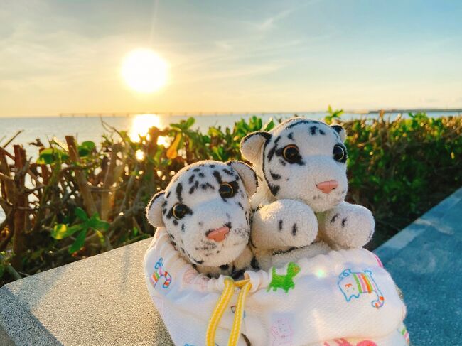 噂のGo To トラベルで旅をしてまいりました。ひとしきり有名な観光地は周り切っている私と、そもそも観光には全く興味のない夫の組み合わせなのでその時ピンときたとこふらふらしましょっかというノープランで出かけたところ、すでに初日から「何しに来たのか」わからない旅になりつつ。今日も明日もいい日になりますように。<br /><br />【ざっくり日程】<br />●1日目 11/26(木)<br />・久しぶり過ぎる国内線<br />・沖縄夕暮れドライブ!絶景を見に行くはずが…<br />・アメリカンな街並みとステーキを堪能<br />・いやどうしてゲーセン行脚<br />・そして〆のルートビア<br />https://4travel.jp/travelogue/11665500<br /><br />●2日目 11/27(金)←イマココ!<br />・国際通り周辺をお散歩<br />・沖縄のスーパーでお買い物<br />・今日もしっかりゲーセン行脚<br />・うちなーファストフードでほっこり<br />・今日こそ!夕暮れスポットでサンセット堪能<br />・夜のドライブからの〆の…<br />https://4travel.jp/travelogue/11668527<br /><br />●3日目 11/28(土)←イマココ!<br />・地元のスーパーでまだまだお買い物!<br />・これが!噂の!ぜんざいを堪能<br />・帰る前も…すっかりトリコ<br />https://4travel.jp/travelogue/11668527