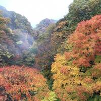 2020九州一早い紅葉と温泉を求めて久住へ ｰ 楽して見る紅葉編 ｰ