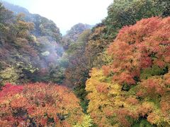 2020九州一早い紅葉と温泉を求めて久住へ ｰ 楽して見る紅葉編 ｰ