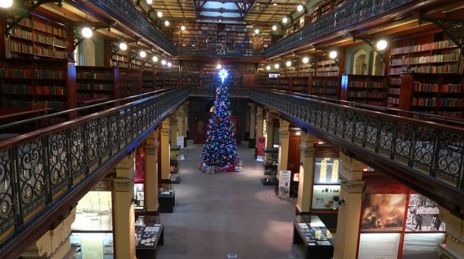 州立図書館のクリスマスツリー