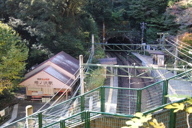 県内旅行で箱根強羅から箱根塔ノ沢へ。②塔ノ沢をプラプラ。阿弥陀寺へ。