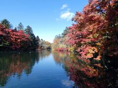 １９．秋のエクシブ蓼科・軽井沢 各2泊　雲場池