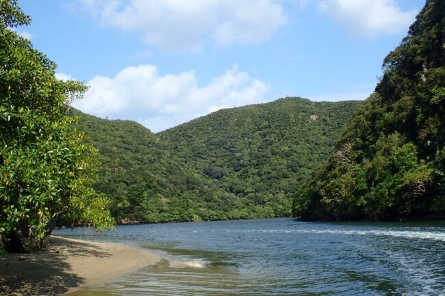 昨日夕方、船浮から上原港近くにある 次に泊まる宿の「まるま荘」 までユウスケさんに送っていただきました<br /><br />優しいです　ユウスケさんのユウはきっと優しいという字を書くんだと思います<br />(しらんけど・・・)<br /><br />本当にありがとうございました　助かりました<br /><br /><br />チェックインしてからスーパー川満まで歩いて買い物に行って、酒やお菓子など買い込みます<br /><br />今夜から２泊、ここでお世話になるのでその分のビールと氷です<br /><br />泡盛は八重泉がまだ残ってるし、さらに泡波を手に入れたので最強レベルだしな<br /><br />夕食の時間までまるま荘の庭のテラスでビール飲んでゆっくりします<br /><br />最高に至福の時間です　まるま荘のお庭は広くてハンモックもあるしテラスも最高です<br /><br />写真はありませんが・・・<br /><br /><br /><br />ぼんやり明日の予定など計画してみます<br /><br />事前に明日の朝からレンタカーの予約をしてあります　西表島は広いですからね～<br /><br /><br />計画的にはまず祖納や干立の集落の御嶽を見に行くこと<br /><br />浦内川の観光船に乗って、マリユドゥの滝とカンピレーの滝を見に行って<br /><br />ウタラ炭鉱跡の遺跡を見に行く・・・<br /><br />あとは時間に余裕があれば、西表野生生物保護センターまで見にいこうかな<br /><br /><br />まるま荘の夕飯はおかずもとても品数もある上、お父さんの釣ってきたお魚がお刺身でふるまわれたり<br /><br />ごはんも白米と赤米を用意してくれていて、とても充実の夕飯でした<br /><br />美味しかったです　写真はありませんが・・・<br /><br />・・・すみません