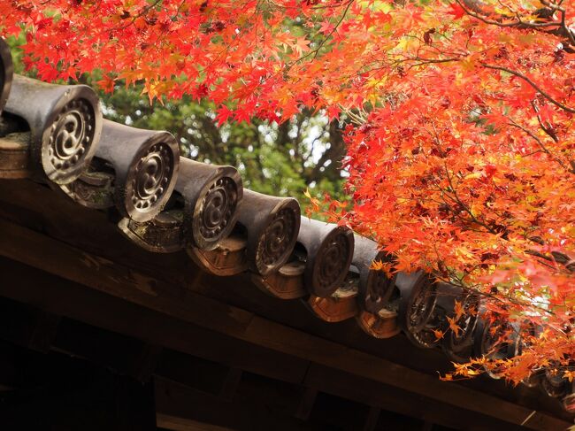 秋の京都で紅葉三昧 2 嵐山 天龍寺 宝厳院と新たな紅葉スポット祐斎亭 嵐山 嵯峨野 太秦 桂 京都 の旅行記 ブログ By クッシーさん フォートラベル
