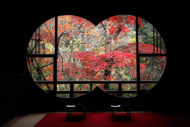 秋の京都で紅葉三昧　(2) 嵐山 天龍寺・宝厳院と新たな紅葉スポット祐斎亭