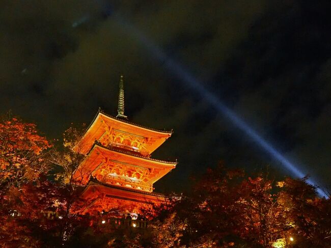 数年前、紅葉シーズンの京都を旅しましたが嵐山のあまりの混雑に閉口。それ以来、秋の京都からは遠ざかっていましたが、海外ゲストがいない今。コロナ対策で予約制にしている寺社もあり、少しはゆっくり散策できるかも・・・とGoToトラベルを利用して久々に京都の紅葉を楽しんできました。<br /><br />2日目午後からは嵯峨野散策と清水寺のライトアップ鑑賞。初めて行った宝筐院の庭園が素晴らしく感激。一方で清水寺のライトアップは大混雑でおしくらまんじゅう状態(^^;)見に行った身で言うのもなんですが、これって大丈夫なのか・・・?<br /><br /><br />1日目<br /> 東福寺、高台寺、石塀小路<br /><br />2日目<br /> 天龍寺、宝厳院、祐斎亭、嵐山<br /> 常寂光寺、二尊院、祇王寺、宝筐院<br /> 清水寺、三年坂、二年坂、法観寺<br /><br />3日目<br /> 蓮華寺、瑠璃光院、詩仙堂、圓光寺<br />