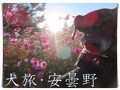穂高・安曇野の旅行記