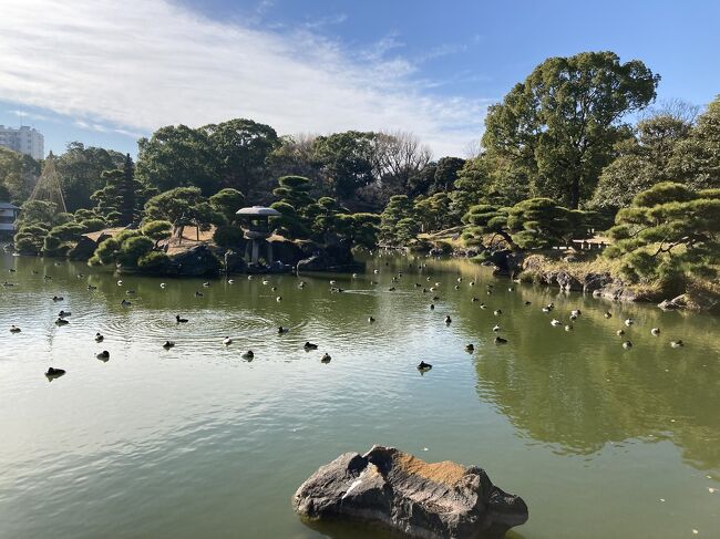 今年の年末年始は帰省や旅行をあきらめ、かといって、ずーーっと家にいるのも気が滅入るので、東京都内を散歩することにしました。<br /><br />本日はクリスマスですが、全くクリスマスっぽくない、清澄白河から門前仲町の江戸時代を感じるコースを散策しました。<br />しかし、この地域、江戸時代から歴史ある街なのはもちろんですが、最新のコーヒー文化、人気のベーカリーなども多数で、むしろ最先端の文化の発信地、といった雰囲気もあったのが、新しい発見です。<br /><br />以下、行程です。<br /><br />12/25（金）<br />・清澄白河駅まで地下鉄で。この時点で10:00くらい。<br />・まずは、「清澄庭園」へ、都心とは思えない、ゆったりした時間を満喫します。<br />・「深川江戸資料館」で、江戸時代について理解を深めます。<br />・江戸時代、北海道や樺太を測量し、伊能忠敬とともに日本地図完成に貢献した「間宮林蔵の墓」へ。<br />・「長寿庵・蕎匠」で昼食。おいしいそばと、深川めしを堪能。<br />・「旧東京市営店舗向住宅」を見物し、そのひとつにあるベーカリー「Oval」でパンを購入。<br />・もうひとつ、近くのベーカリー「Viking」を訪問し、食パンを購入。<br />・門前仲町へ散歩していきます。<br />・「深川不動堂」を参拝。<br />・その門前にあるカフェ「MONZ CAFE」でカフェ休憩。<br />・最後に「富岡八幡宮」と、その敷地内にある「伊能忠敬像」を見学し、門前仲町駅から帰宅。この時点で15:00くらい。<br />