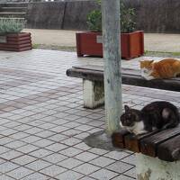 GoToで初めての沖縄へ　雨の那覇ひとり散歩（前編）