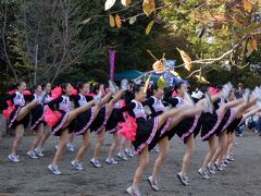 三島市立公園 楽寿園　アオハル高校文化祭 in 楽寿園　チアリーディング全米大会優勝の日大三島高等学校応援部の演技