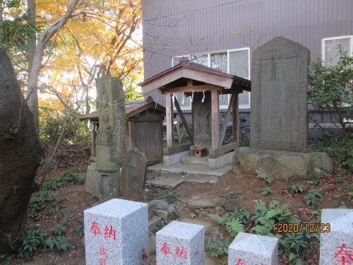 柴崎神社（しばさきじんじゃ）・御祭神:天御中主神・相殿神:素盞鳴尊・蒼稲魂尊・社格等:村社・例大祭:11月15日・所在地:千葉県我孫子市柴崎174・最寄駅:天王台駅。柴崎神社は、旧水戸街道、柴崎字天王谷にある。祭神は天御中主命で、相殿に素盞鳴尊、蒼稲魂尊の二神を祭りべつに日本武尊、別雷神、金山彦命、大山昨命を合祀している。　景行天皇の四十年、日本武尊が征途の安全を祈り、武運長久を祈願したといわれ、承平・天慶の頃は平将門の祈願所として崇敬あつく、柴崎左馬督が社殿を修理したが、平将門没後は一時社運が傾いた。のち、永禄四年（1561）柴崎城主荒木三河守が修復し、天正元年（1573）の役で小田原北条氏に下り、刀一振を献納して永世二心なきことを誓った。神社メモより。<br />参考にさせていただいたブログは下記です。<br />石仏神心　103　北総石仏　我孫子の石仏・柴崎に詳しく書かれています。<br />http://sekibutu.blogspot.com/