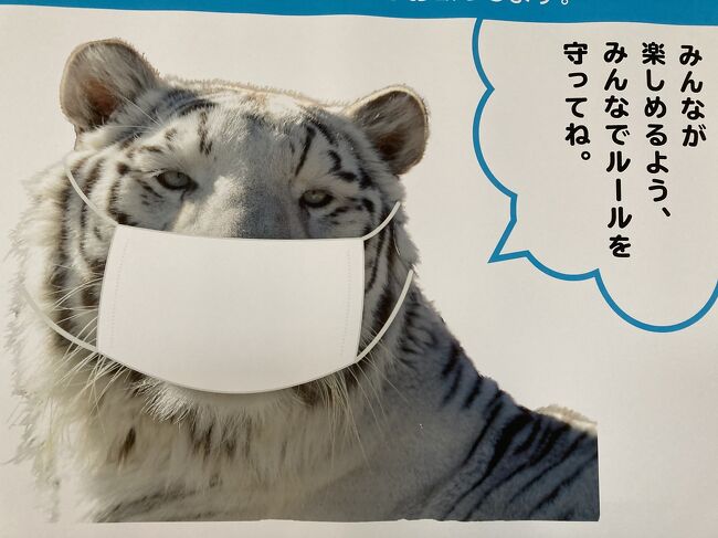 コロナ禍でも何か一つクリスマスらしいことをしましょう、となり、友人2人と初めて東武動物公園のクリスマスイルミネーションを見に行くことにしました。せっかくなので古墳公園にも寄ってみました。埼玉県には古墳群があります。<br /><br />写真は東武動物公園駅で見つけたマスクのホワイトタイガーのポスター