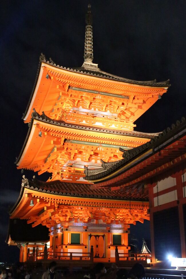 「海外観光客の居ない秋の京都」はレアなので新幹線と宿のパックを申し込み。初日は嵐山→清水寺ライトアップを見て回った