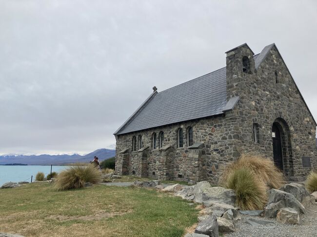 今からさかのぼる20年前<br /><br />母が「NZにルピナスを見に行ってくる！」と父と連れ立って旅立ちました。<br />その時の旅行代理店のパンフレットを飾っていたのがこのテカポ湖を背景にした善き羊飼いの教会でした。<br /><br />そして、帰国するなり<br />「私たち、NZに移住することにしたから！」<br />と、のたまい、娘の度肝をぬいたことを今でも覚えています。<br /><br />その両親を追いかけて、NZに家族で移住することになろうとは、そのころはお釈迦様でも知らなかったことでしょう。<br /><br />とすれば、ここテカポは私にとって運命の分かれ道となった場所です。<br /><br />空気はきれいで、湖面は不思議なミルキーブルーの光を放ちます。<br />お天気がいまいちで星空ツアーはできませんでしたが、また頑張って働いて、次回の楽しみとさせていただきます！