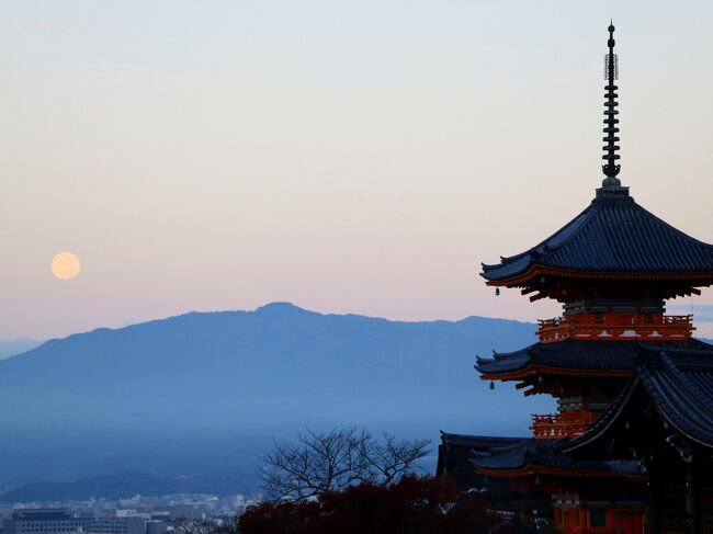 2021年を迎えました。本年もどうぞよろしくお願い致します(*^-^*)<br /><br />コロナ禍になり、私も慎重に暮らしながら仕事に出かけ、おとなしく過ごす毎日(苦笑)<br />くぅーーっ、残念ながら2020年は海外旅を3回もキャンセル(*_*;<br />11~12月頃は海外に出かけることが多く、正直国内旅はこの先いつでも行けると思っていたのに、国内さえ安易に移動できません…。<br /><br />12月初めにGo toキャンペーンに乗っかって、久々に京都を訪れました。<br />出先でも帰宅後も周りに迷惑かけないよう、できる限りの用心を重ね、出発。<br /><br />京都旅は、まさに日本再発見!(^^)!<br />旅は気持ちに潤いを与えてくれ、日々の元気につながると改めて気づかされました。<br />3日半で合計9万歩超え、京都なのに、いつもの男旅でした(苦笑)<br />