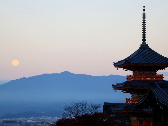 紅葉散る凛とした佇まいの寺社で平安を祈る旅（１）夜行バスで到着後、8か所の寺社を巡り歩き倒した京都1日目