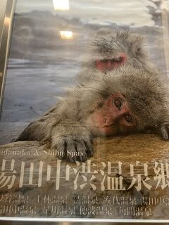 雪に覆われた地獄谷野猿公苑 猿の何倍もの観光客が押し寄せます 湯田中渋温泉郷 志賀高原 長野県 の旅行記 ブログ By ミズ旅撮る人さん フォートラベル