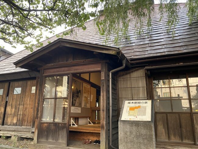 いつもながら、出発直前の1週間前になって申し込んだ今回の北海道・北東北旅行ですが、往路は航空機、復路は新幹線を利用しました。<br /><br />4日目は朝から散歩がてら盛岡市内を散策した後、サッカーJ3リーグの試合を観戦しました。<br />やっぱり、日本各地のスタジアム巡りは毎回楽しみです!<br /><br />※試合詳細<br />明治安田生命 J3リーグ 第17節<br />2020年9月22日(火)13:03KO【いわスタ】<br />いわてグルージャ盛岡 1-0 ガンバ大阪U-23<br />入場者数:669人