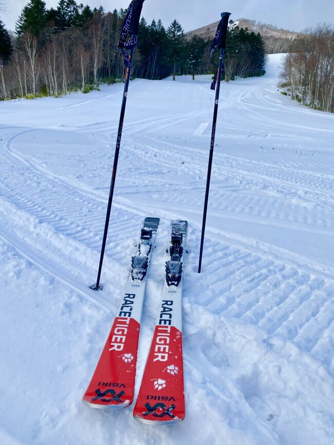 年に1回はキーンとした冷たい空気の中で、雪景色を楽しみながらスキーがしたい。そんな思いで30年以上年末年始を過ごしてきました。<br /><br />仕事をしている時は、一年間よく働いたご褒美として、スイスなどに出かけてきました。リタイアしていつでも行けるようになったとはいえ、コロナ禍にあってそれは叶わないので、今シーズンは北海道など国内で楽しむこととし、12月はサホロ、1月は蔵王とニセコで計画しました。今回でGo To 利用旅は10回目。<br /><br />年末からGo Toが全国的に一時中止になりましたが、ギリギリセーフの日程でまずは24年ぶりのサホロへ向かいました。<br /><br />あいにくの雪不足で、ギリギリまでヤキモキしましたが、出発2日前にスキー場は一部オープンしたためキャンセルせずに出かけました。到着日からはゴンドラも運行され、コースも次第にオープンするエリアが増えたので、フカフカの深雪を堪能できました。しかも、スキーヤーが少ないので寂しいくらいホテルもゲレンデもすいていました。<br /><br />リフト券は天候のこともあるので連続した日数券は買わず、シニア割引で非常にお得だった「早得1日券3枚セット」にしました。天候が悪かった1日は使わず、もう1セット買い足して二人で分けて使い、結局5日間のうち3日間だけ滑ったことになります。<br /><br />犬ゾリツアーは十勝平野の鹿追町のため、前日までできないかもしれないくらいの積雪でしたが、コースを変更したり工夫してもらい、なんとかすることができ、60歳過ぎのおじさん、おばさんでもめちゃくちゃ楽しめました。<br /><br />ホテルには6泊しました。夕食の選択肢が少ないのがやや不満でしたが、毎日重複しないように考えていただきました。朝食は小さい器に盛り付けされたものを取っていく形式のブッフェで、色々なものが食べられて満足でした。<br /><br />鹿児島からだと、行きと帰りで2日潰れるので北海道は遠いです。直行便が出ると良いのですがねー。<br />