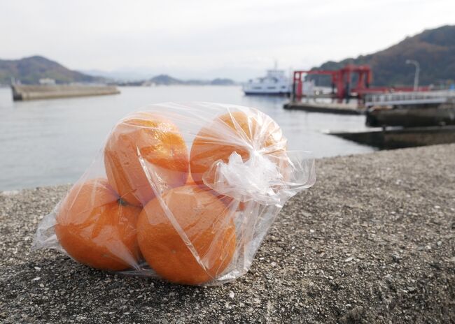 青春18切符で寄り道しながら松山へ行こう、神戸須磨海浜公園から<br />スタートしての今日は4日目<br />昨日は高松から土讃線の各駅停車で南国土佐の高知へ<br />高知はGOTOプラス高知県独自のキャンペーンがあり<br />交通費最大5,000円の補助してくれる<br />ラッキー!<br />調べると色々あるもんなんだな<br />昼まで高知のちょっとB級な街歩き<br /><br />午後の高速バスで、最後の目的地愛媛松山へGOGO<br />滞在24時間の温泉と離島、ちょっとレア?な渡し船ツアー編<br /><br /><br />以下、今旅の全編<br />①青春18きっぷで年末各駅停車旅、のんびり9時間神戸へ編<br /> https://4travel.jp/travelogue/11668935<br /><br />②島から島へ、週一便航路岡山真鍋島から香川左柳島に、本州四国レアルート?で香川高松へ編<br /> https://4travel.jp/travelogue/11669224<br /><br />③高松から土讃線各駅停車で高知へ、丸吉食堂とちょっとB級高知街歩き編<br /> https://4travel.jp/travelogue/11669359