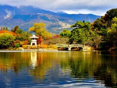 2020紅葉　三島池と清滝寺徳源院の紅葉（12）