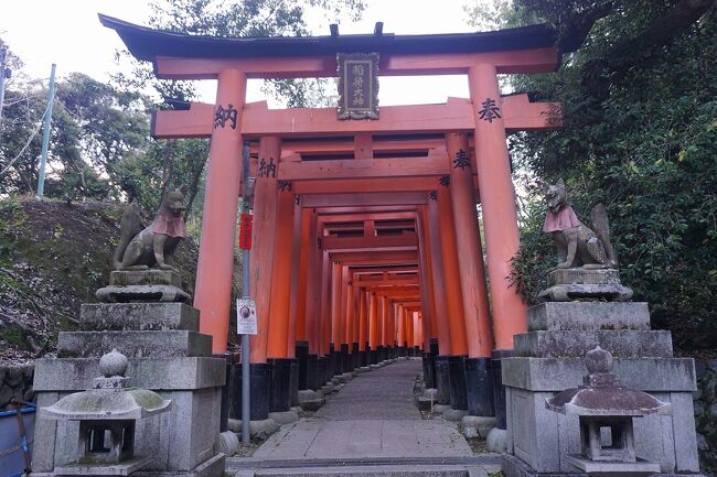 インバウンド客が落ち着いている今、そうだ、京都に行っとかないと…。<br />コロナ対策をしっかりとして、早朝の京都に行ってきました。<br />画像は、伏見稲荷大社にてです。<br /><br />過去の京都・京都市伏見区散歩記~<br /><br />関西散歩記~2019-3 京都・京都市伏見区編~<br />https://4travel.jp/travelogue/11500674<br /><br />関西散歩記~2019-2 京都・京都市伏見区編~<br />https://4travel.jp/travelogue/11500296<br /><br />関西散歩記~2019 京都・京都市伏見区編~<br />https://4travel.jp/travelogue/11496915<br /><br />京都まとめ旅行記。<br /><br />My Favorite 京都 VOL.6<br />https://4travel.jp/travelogue/11504781<br /><br />My Favorite 京都 VOL.5<br />https://4travel.jp/travelogue/11463030<br /><br />My Favorite 京都 VOL.4<br />https://4travel.jp/travelogue/11369230<br /><br />My Favorite 京都 VOL.3<br />https://4travel.jp/travelogue/11275410<br /><br />My Favorite 京都 VOL.2<br />http://4travel.jp/travelogue/11120777<br /><br />My Favorite 京都 VOL.1<br />http://4travel.jp/travelogue/10945390