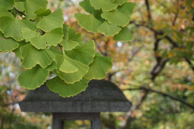前回、成田山新勝寺に行ってきたので、大阪の成田山にも行ってみました。<br />画像は、大阪成田山不動尊にてです。<br /><br />過去の大阪・寝屋川市散歩記。<br /><br />関西散歩記~2019 大阪・寝屋川市編~<br />https://4travel.jp/travelogue/11460409<br /><br />大阪まとめ旅行記。<br /><br />My Favorite 大阪 VOL.9<br />https://4travel.jp/travelogue/11667346<br /><br />My Favorite 大阪 VOL.8<br />https://4travel.jp/travelogue/11639133<br /><br />My Favorite 大阪 VOL.7<br />https://4travel.jp/travelogue/11625308<br /><br />My Favorite 大阪 VOL.6<br />https://4travel.jp/travelogue/11593942<br /><br />My Favorite 大阪 VOL.5<br />https://4travel.jp/travelogue/11361830<br /><br />My Favorite 大阪 VOL.4<br />http://4travel.jp/travelogue/11242529<br /><br />My Favorite 大阪 VOL.3<br />http://4travel.jp/travelogue/11152287<br /><br />My Favorite 大阪 VOL.2<br />http://4travel.jp/travelogue/11036195<br /><br />My Favorite 大阪 VOL.1<br />http://4travel.jp/travelogue/10962773