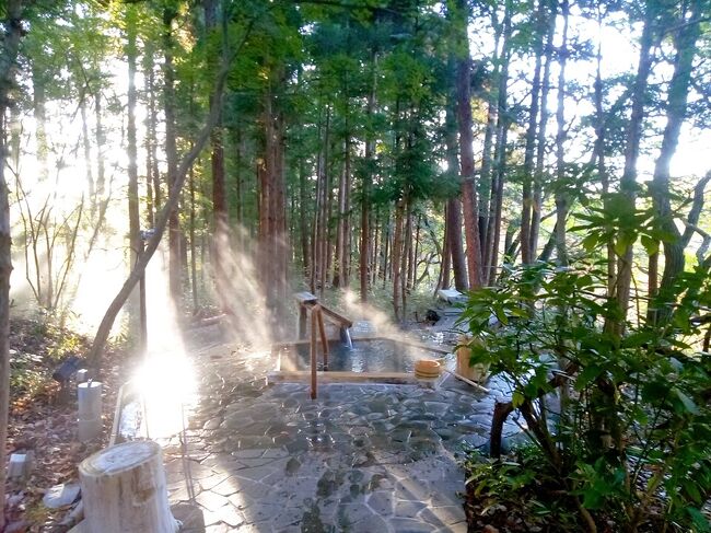 蔵王　遠刈田温泉　だいこんの花