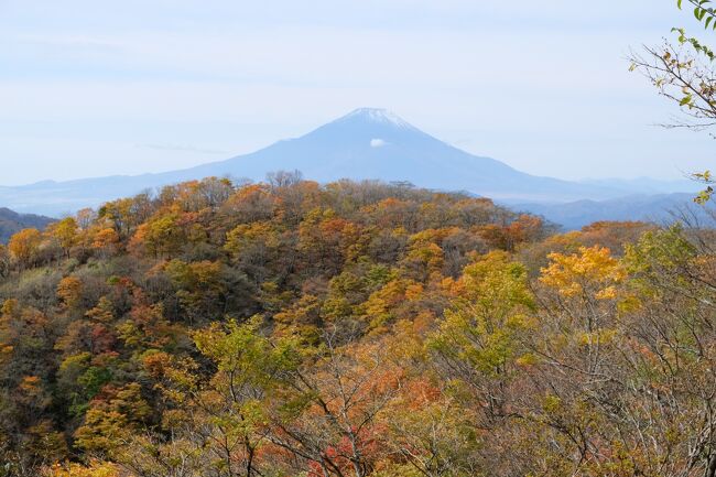 紅葉登山を山友と行ってきました。<br />場所は近くの手頃な鍋割山です！<br />山頂付近はまさに紅葉が見頃でした、まさに綺麗の一言です。<br />紅葉と富士山が重なって絶景な山登りとなりました！<br />天気が良い時の紅葉シーズンの丹沢系は富士山と紅葉のコラボを是非生で見て頂きたいと思いしました。<br />肝心の登山は距離が長い山ですね、でも歩きやすく標高を1000M登るがそれ程疲労度がたまりません！