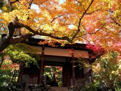 いい古都チケットでサクッと嵐山紅葉めぐり&#12316;常寂光寺・二尊院・宝筐院編&#12316;