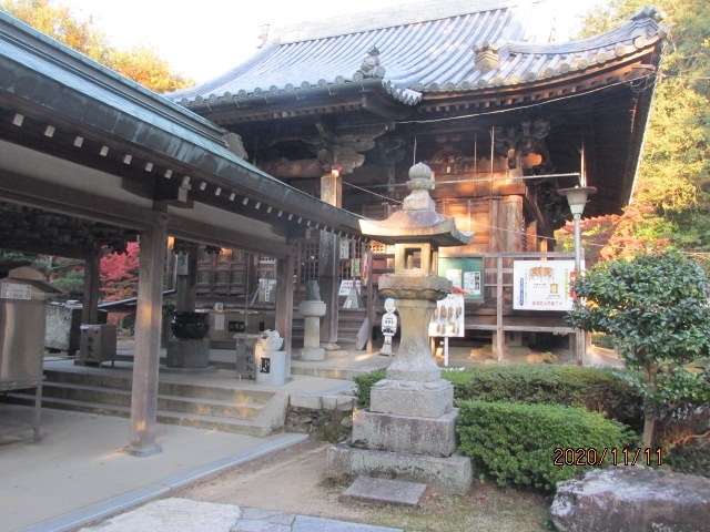 愛媛坂出の五色台山中にある白峯寺は崇徳上皇のゆかりの寺だ。先刻天皇寺を巡拝したが、そこは上皇が崩御した場所で、その場所には白峰宮が建てられているが、ここ白峯寺には御陵があり、霊廟「頓証寺殿」が建立されている。この寺は９世紀初め弘法大師が五色台の白峯山頂に宝珠を埋めて、この場所に寺を創建した。それから３００年以上後に崇徳上皇がこの地に流され、先刻の天皇寺近くで崩御したが、その遺体はこの白峯山上で荼毘に付された。その後上皇が亡くなった場所には白峯神宮が建立され、又、この白峯寺境内には白峯御陵も造営された。明治になって白峯神宮はこの地から京都に移転して行ったが、上皇の別称、白峯院はこのことから来ているものと考える。<br /><br />四国巡礼を始める以前、この寺と最御崎寺、竹林寺の３ケ寺はお参りしたいと思っていて、この寺以外の他の２ケ寺は巡礼以前に既にお参りをしていたが、この寺は今回が初めてだ。以前石鎚山に登るため岡山から瀬戸大橋を通って四国へ渡ったが、その時、正面に五色台の山並みを見て、この寺にもいずれ是非来たいと思っていたが、その後その機会はなく、延び延びになって結局今日になってしまった。１１月中旬、紅葉には丁度ピッタリの季節に巡り合った。途中の五色台ドライブウエイは緑の雑木林が主流で、四国は暖かい土地で、矢張り紅葉には余り縁はないのかと諦めてはいたが、駐車場に車を止め、寺に向かうと、もう境内の外から紅葉が歓迎してくれた。寺の僧侶、関係者が何代にも亙って植林してきた結果なのだろう。<br /><br />重文の山門、これは七棟門の造りになっているが、境内に入ると先ず正面に護摩堂がドンと構えている。これも重文だ。次に左に向かって進むと、正面に頓証寺殿の勅額門があり、門の奥に頓証寺殿が収まっている。これ等はすべて重文だ。そこから右手に長い石段が続き、その石段の一番上に本堂が鎮座している。本堂もその横の大師堂も重文だ。この寺には重文が幾つかあるか分からない程、沢山の重文がある。天皇家との係わりの深い寺だけあって、それ等の歴史的価値も高いのだろう。先ずはその長い石段を登って、最上段の本堂にお参りする。ご本尊は千手観音。石段の両側には幾つかの御堂があって、その境内は今は紅葉の真っ盛り。本堂、大師堂でのお経をあげ終わったら、ゆっくり見ながら下山しよう。